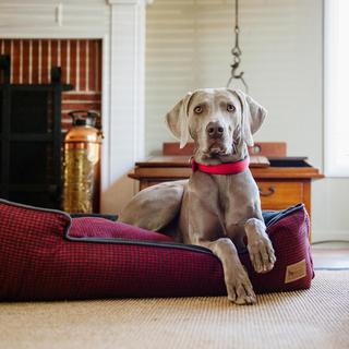 Houndstooth Lounge Pet Bed