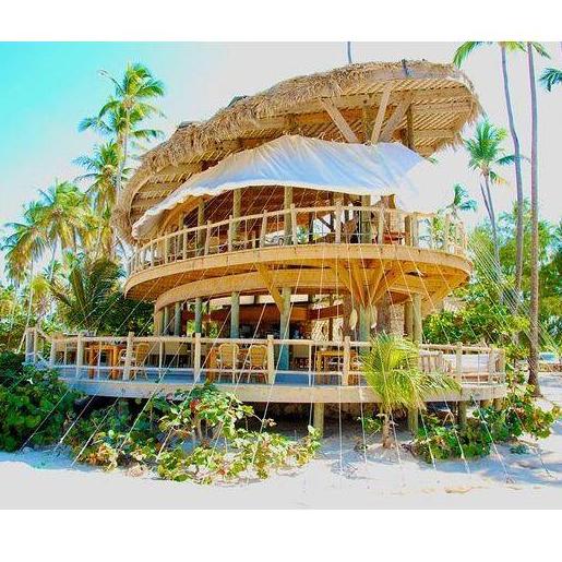 Jellyfish Restaurant
