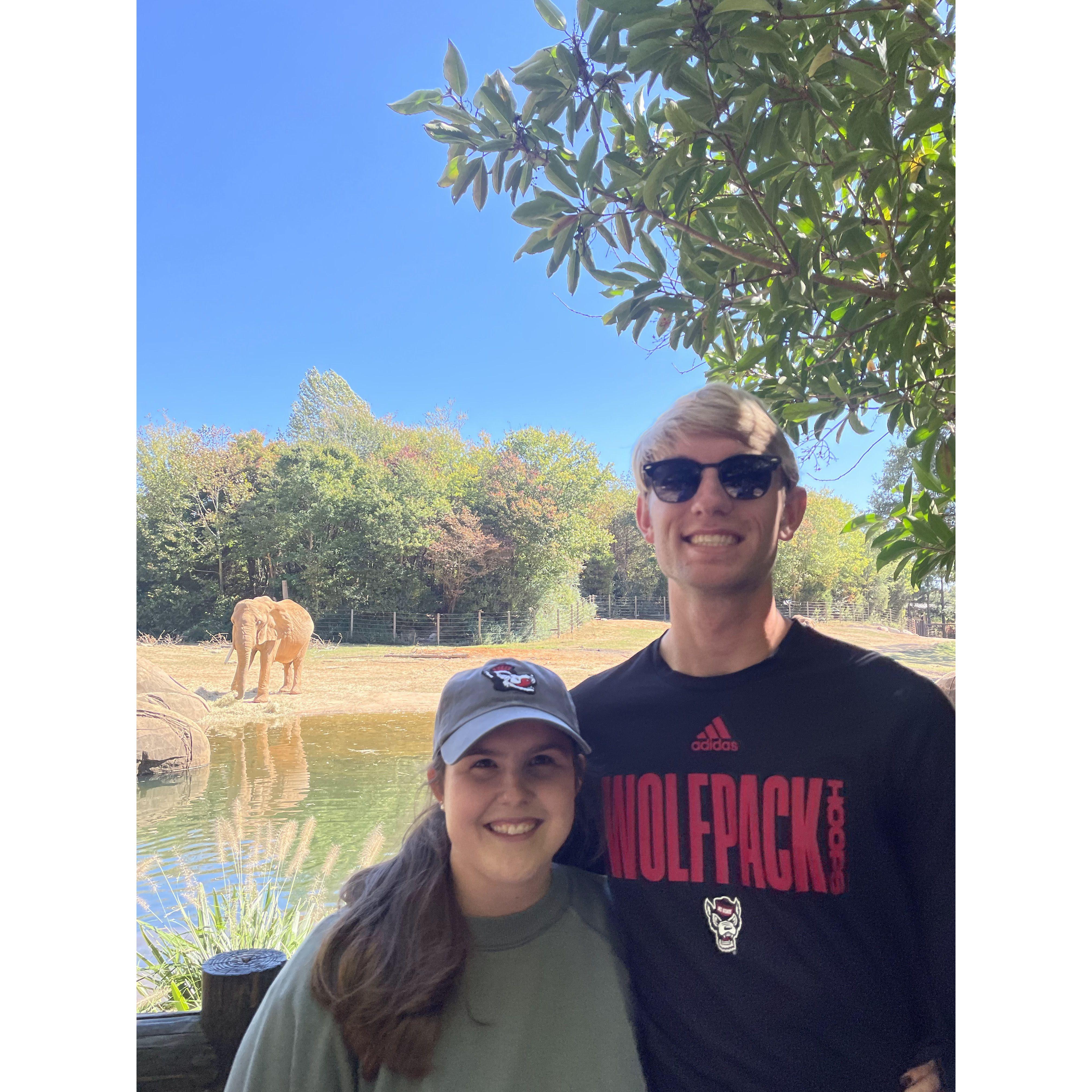 Zoo 2023