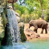 Fort Worth Zoo