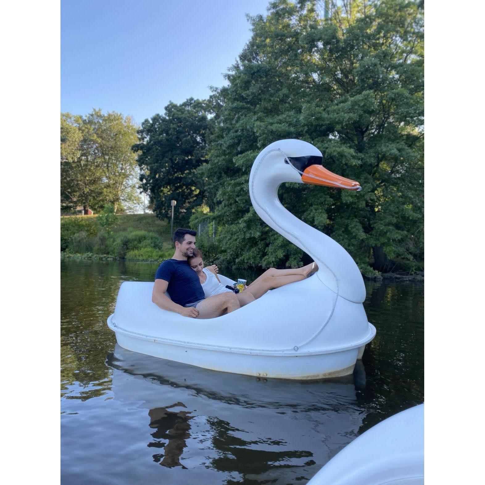 Swan boats in Providence, Rhode Island