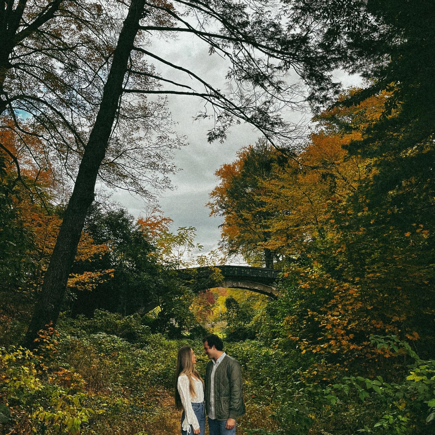 New Haven, CT