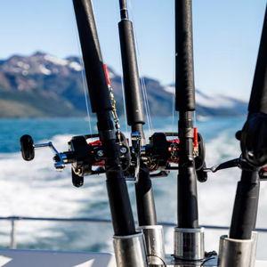Alaskan Fishing for Salmon/Halibut