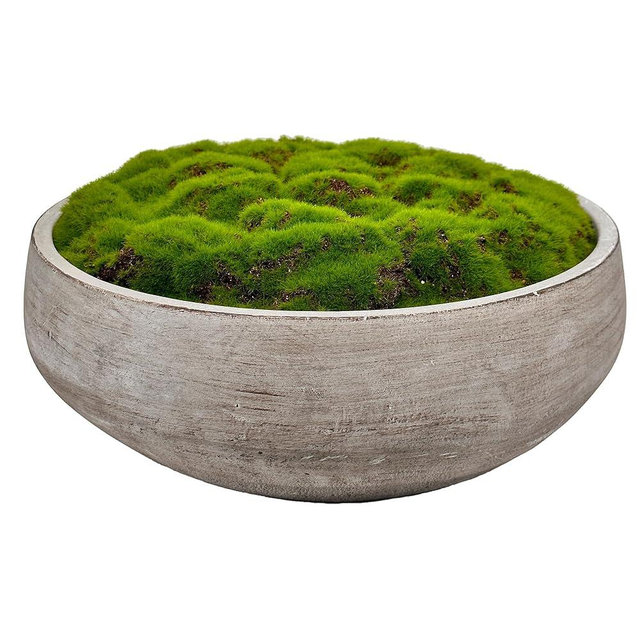 Macomine Design Moss Bowl |12" Diameter | Artificial | Hand-Painted Cement Bowl | Home Décor