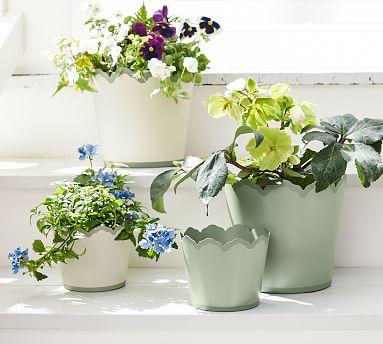 Julia Berolzheimer Lily Scalloped Metal Tole Planters