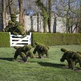 Ladew Topiary Gardens