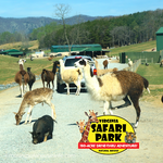 Virginia Safari Park