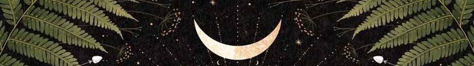 The Wedding Website of Patience Williams and Matthew Budurowich