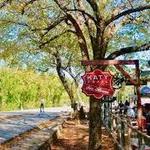 Katy Trail (Dallas)