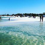 Honeymoon Island State Park
