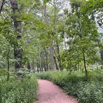 Austin Gardens