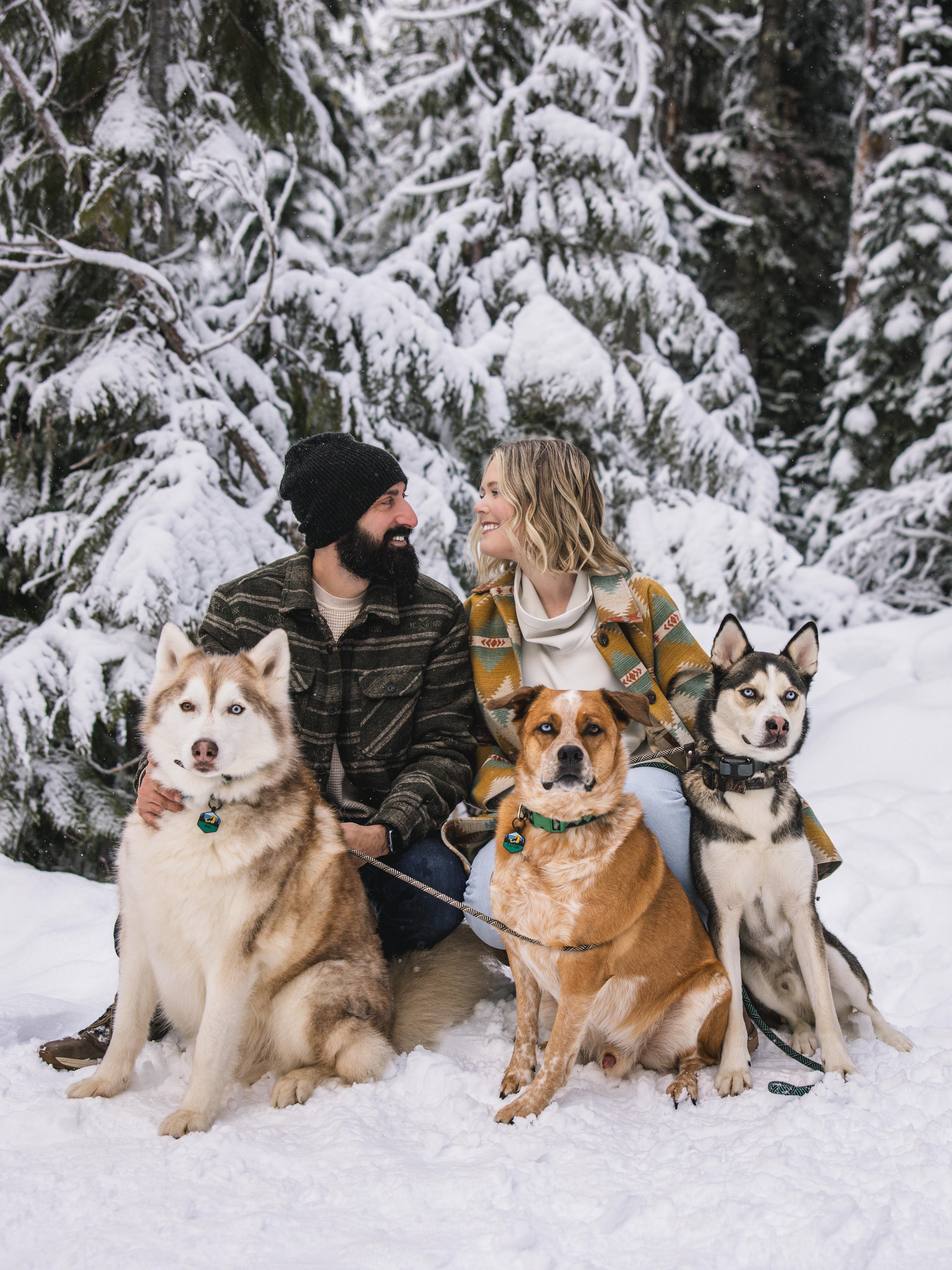 The Wedding Website of Corey Olson and Sahand Shafiee