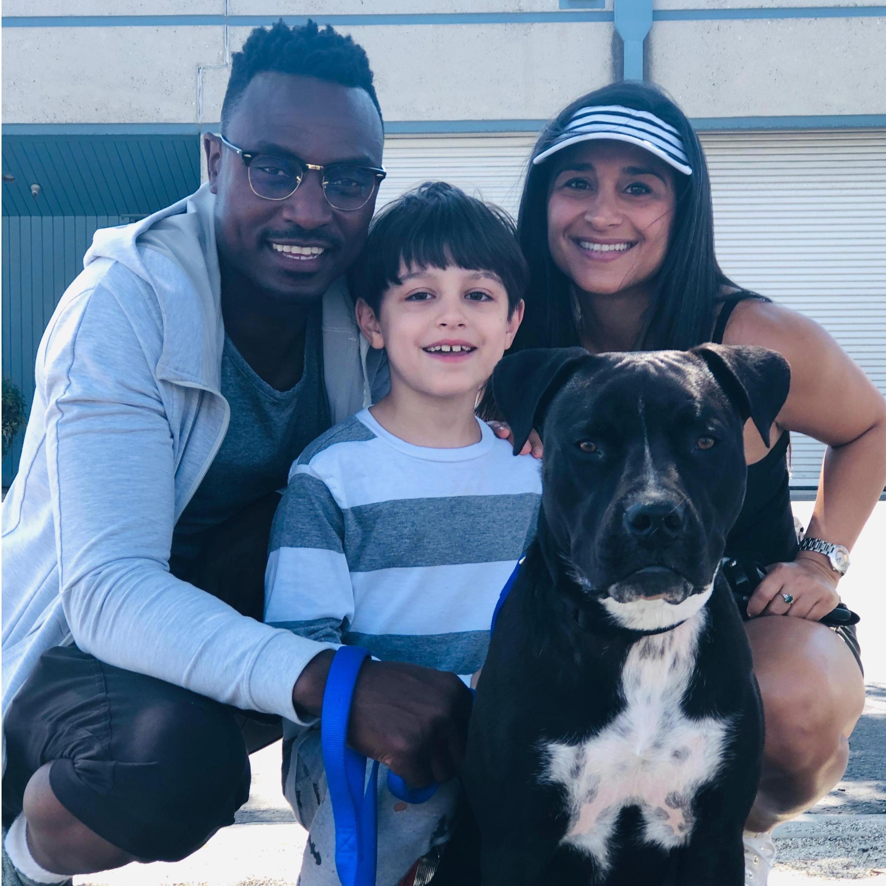 The day we adopted Wilson
