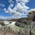 Great Falls National Park