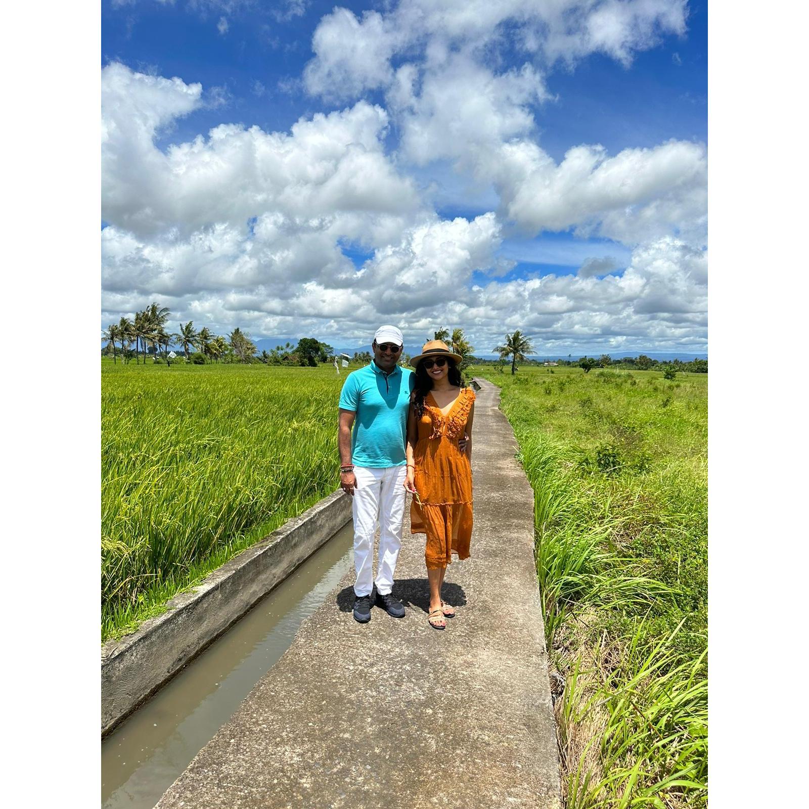 Rice patties in Bali