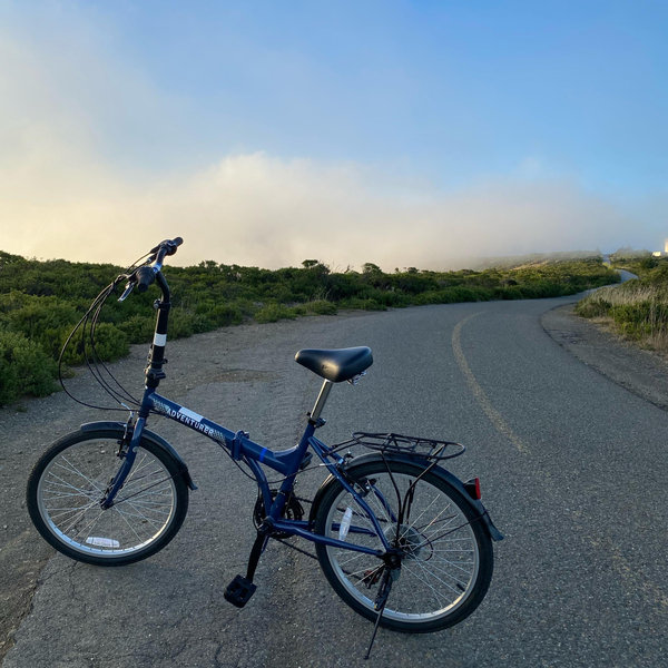 City Biking Excursion