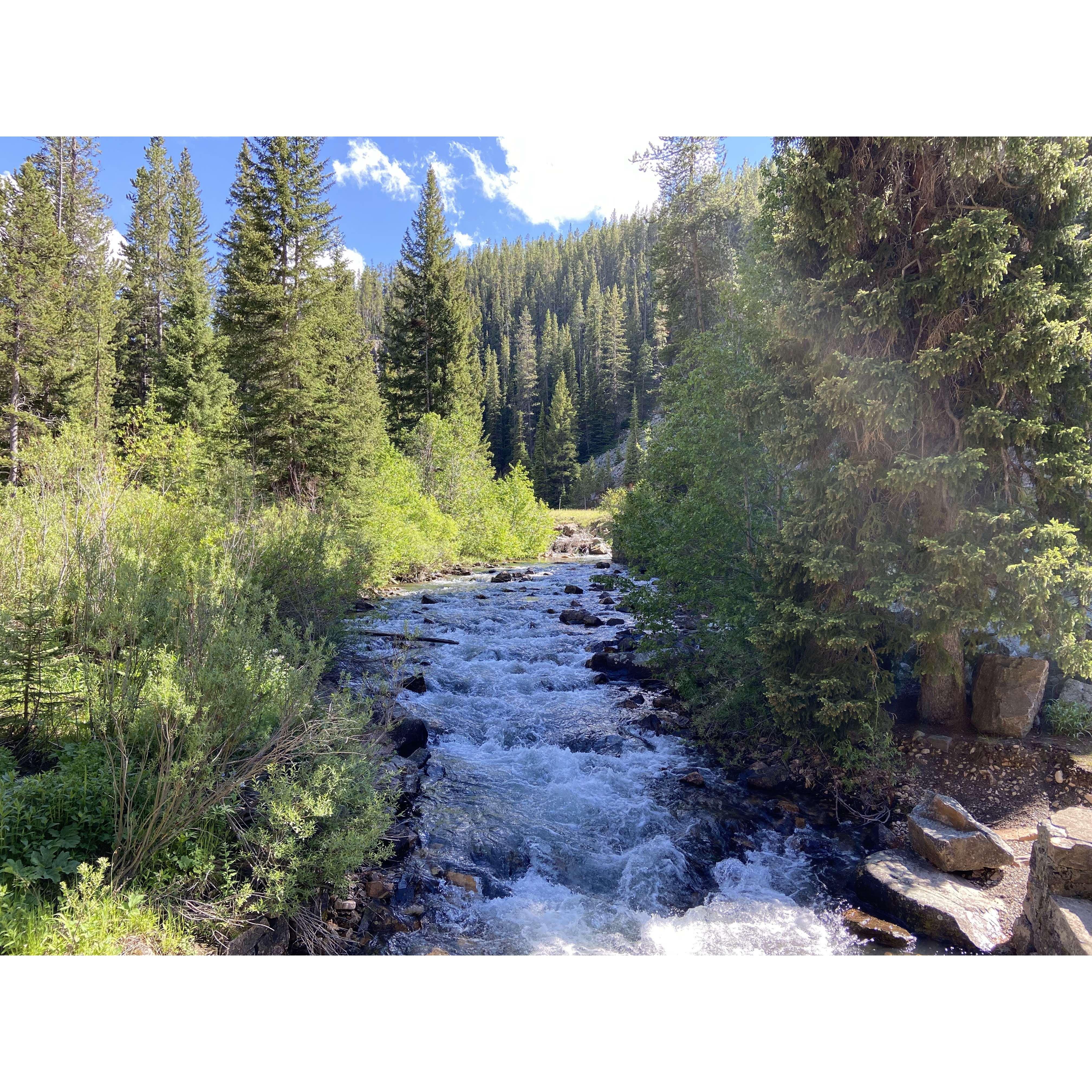 Hike with the Deal Family, Montana / July 2022