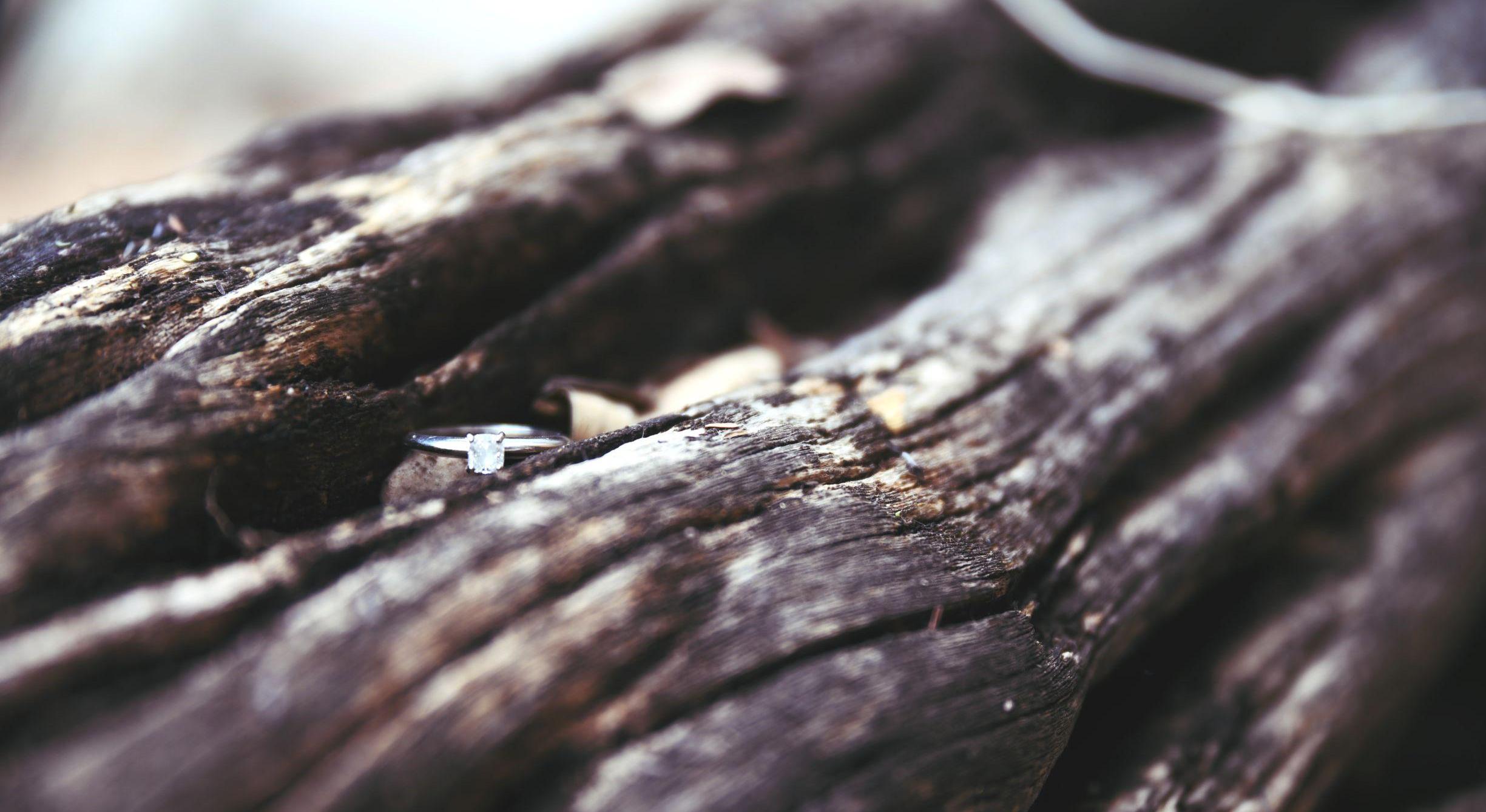 Footer image