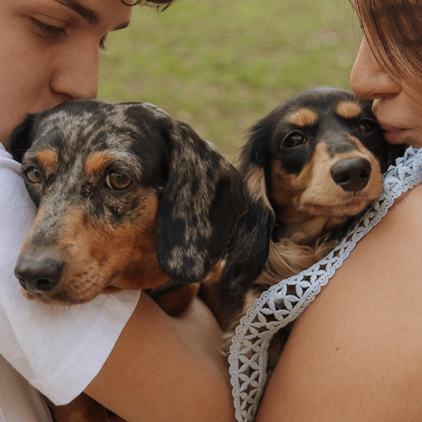 Pet Supply Fund