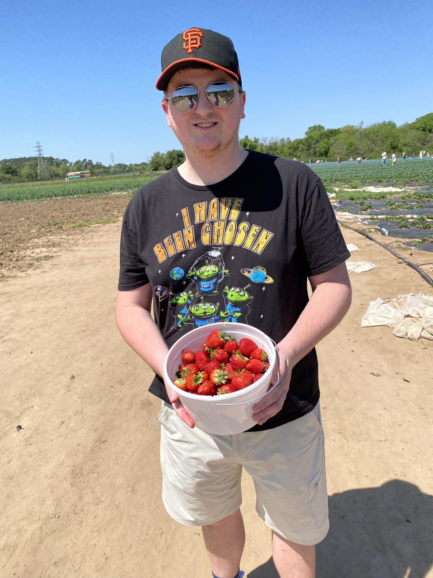 Strawberry picking in Alvin! 🍓