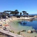 Free things to do in Monterey
