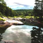 Kenneth Ward Park