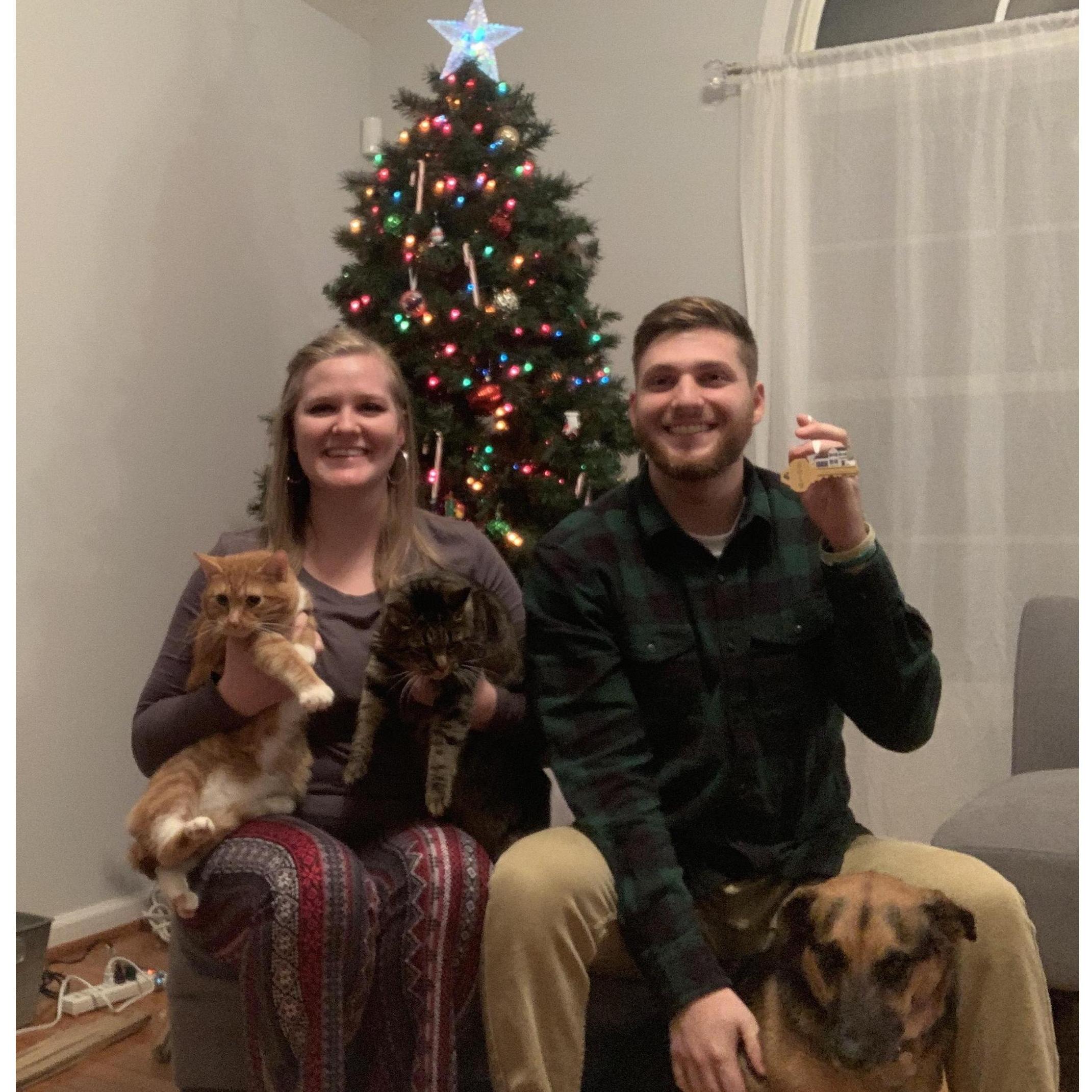 Family Christmas Picture (Tiger, Harley, Daisy) 2019
