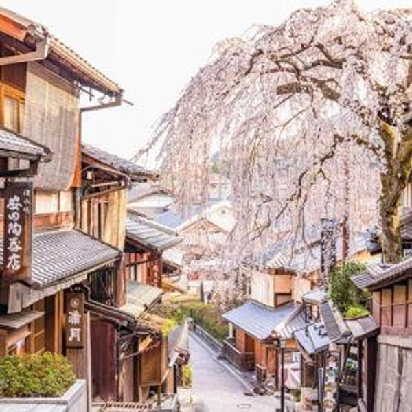 Japan Expenses