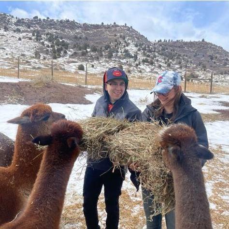 The alpaca encounter was such a fun memory during our engagement trip!