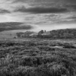North Yorkshire Moors