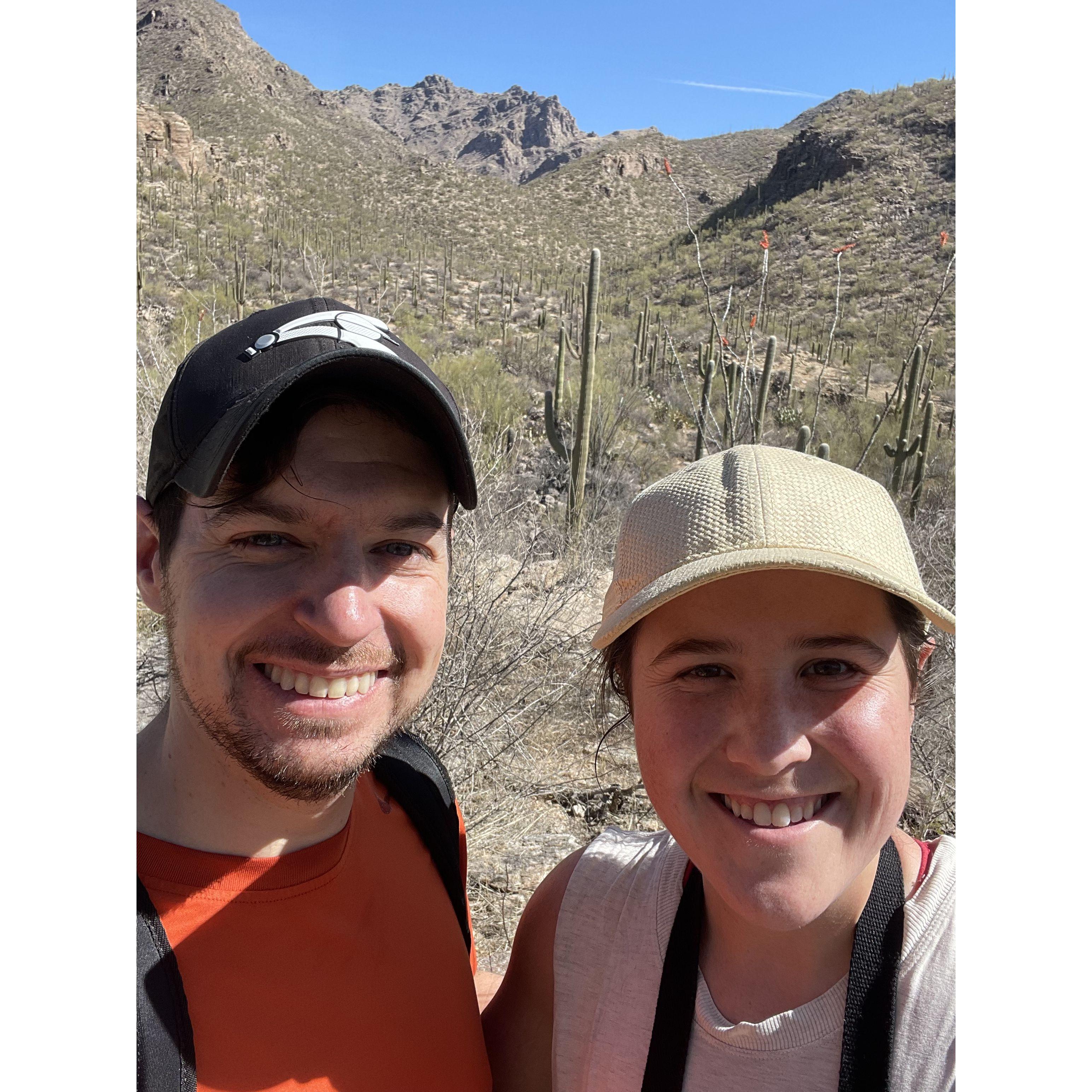 Sabino Canyon, March 2025
