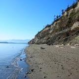 Double Bluff Beach and Off Leash Area