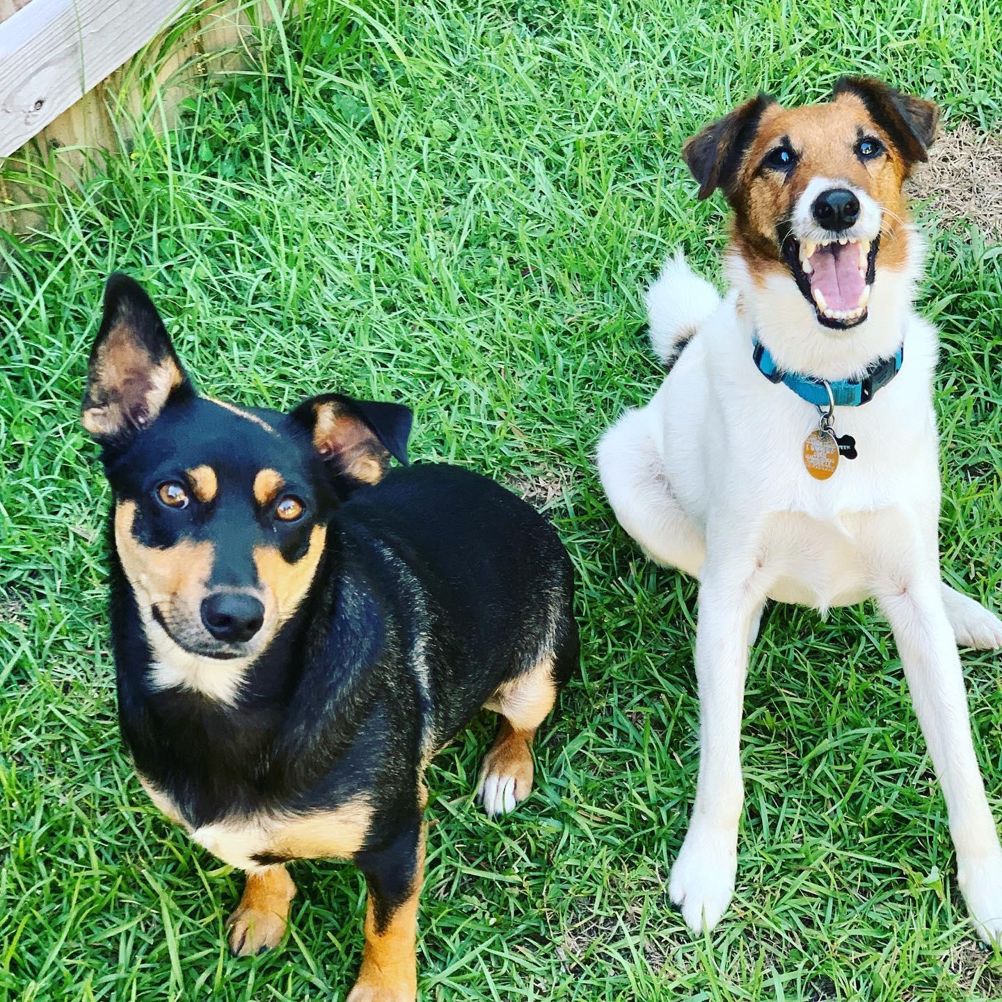 Cooper and Springsteen: Our babies.