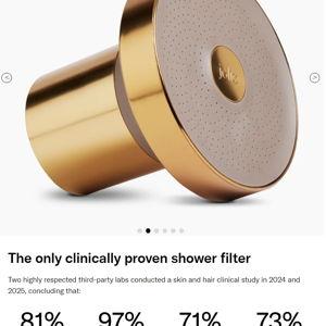 The Jolie Filtered Showerhead in Brushed Gold