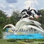 Sea World