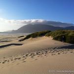 Nehalem Bay State Park