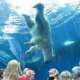 Pittsburgh Zoo & Aquarium