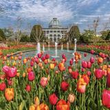 Lewis Ginter Botanical Garden