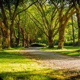 Washington Lake Park