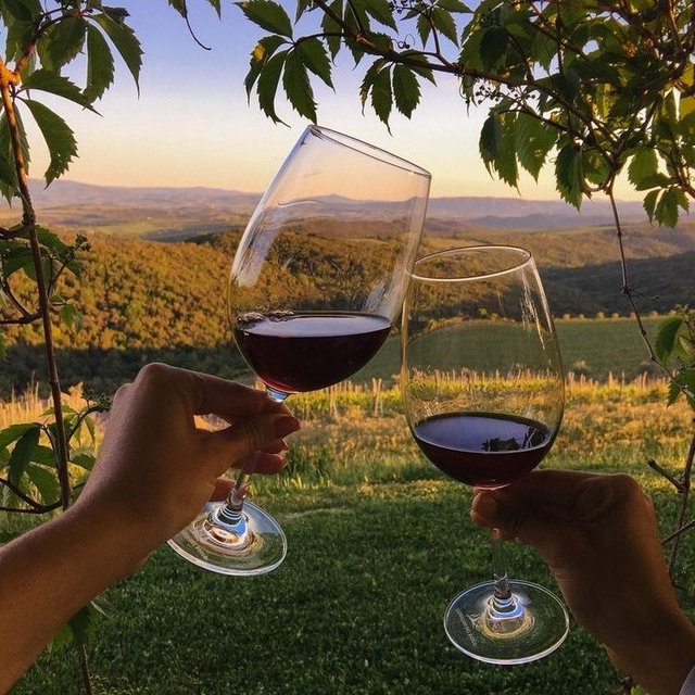 Wine Tasting on our Honeymoon