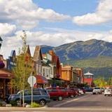 Whitefish