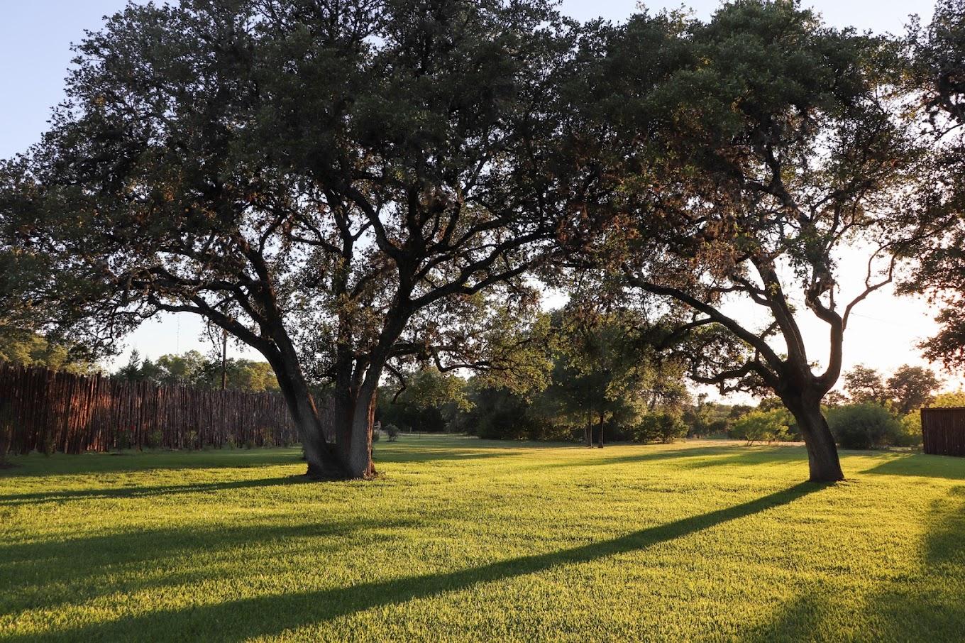 The Wedding Website of Fiona Graham and Cyrus Kinzel