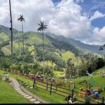 Cocora
