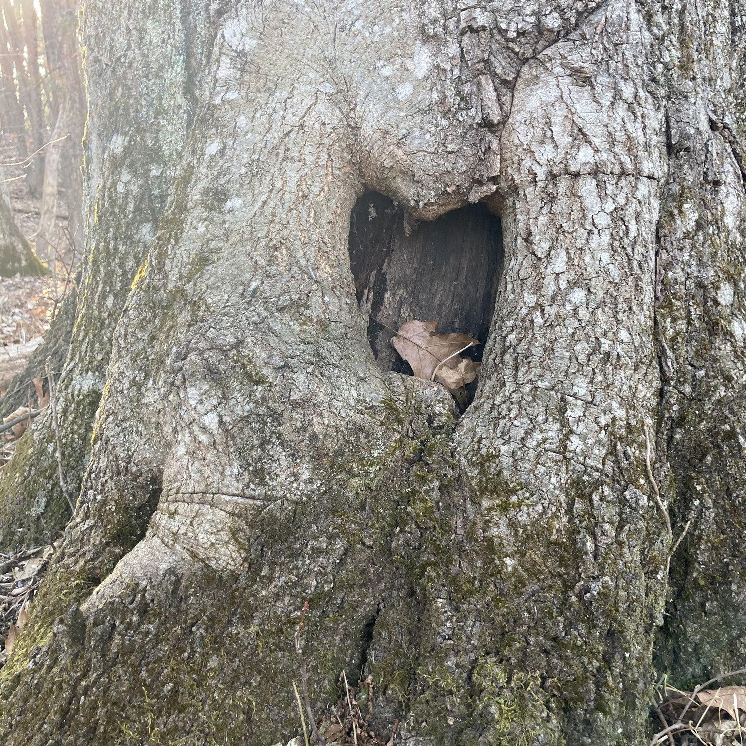 LOVE in nature.