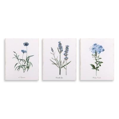 8"x10" 3pc Lavender Botanical Drawing Canvas Art Lavender - Patton Wall Decor