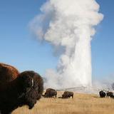 Yellowstone National Park