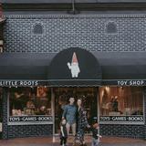 Little Roots Toys