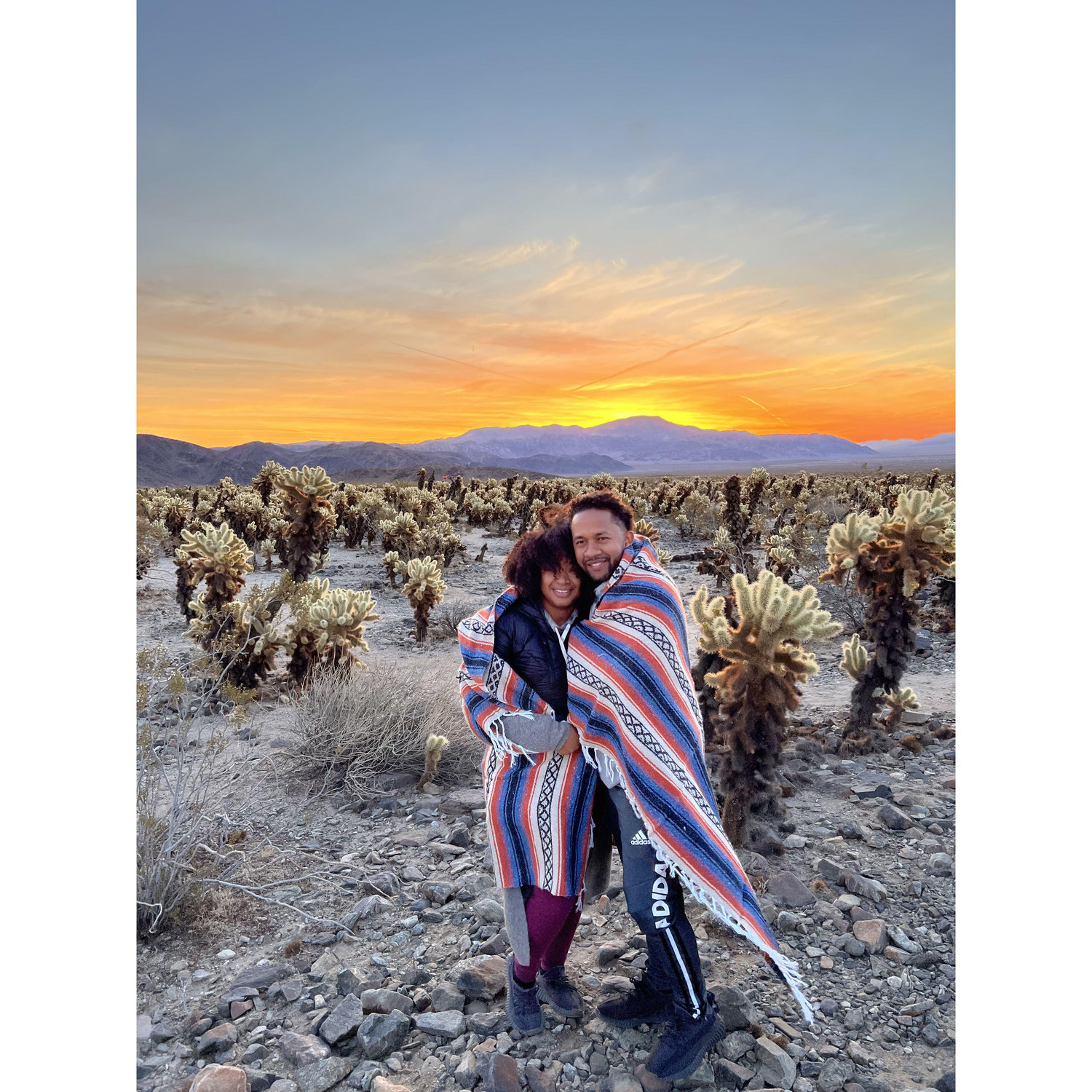 Joshua Tree, 2022