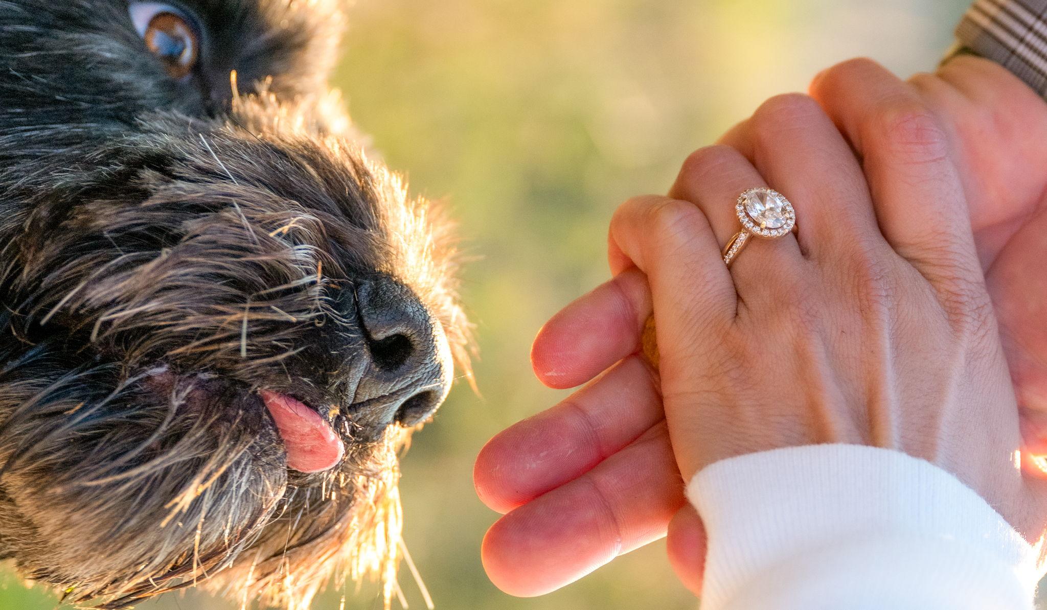 Hero Slideshow Image 2