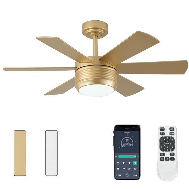 SHOWDI 42 Inch Ceiling Fan with Lights and Remote, 6 Blade App Control Timer Reversible Stepless Brightness and Color Temperature Outdoor Wood Ceiling Fan with Lights (Gold, 42 Inch)